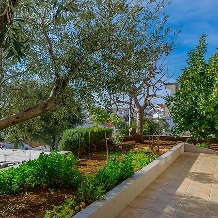 Modric Apartament